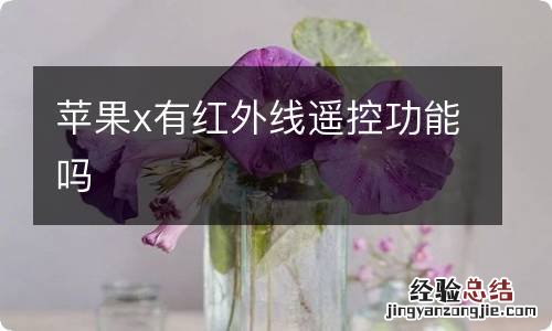 苹果x有红外线遥控功能吗