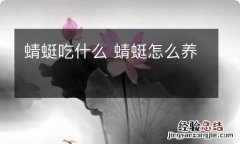 蜻蜓吃什么 蜻蜓怎么养