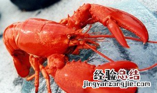 乘飞机能带冰冻大龙虾吗 要办理托运手续吗