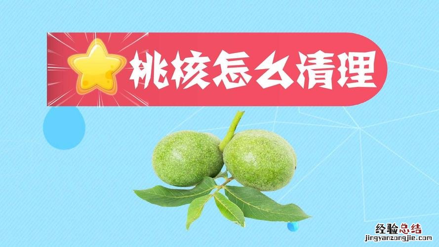 桃核怎么种才能发芽