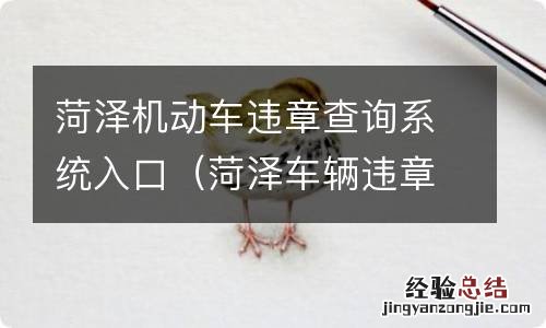 菏泽车辆违章查询网上查询系统 菏泽机动车违章查询系统入口