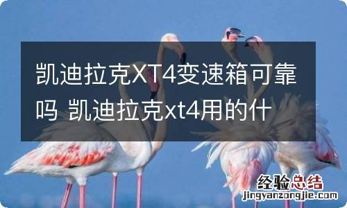 凯迪拉克XT4变速箱可靠吗 凯迪拉克xt4用的什么牌子变速箱