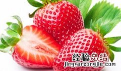 草莓去籽后怎么样种植 草莓去籽后怎么样种植视频