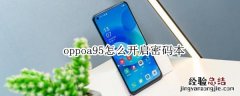 oppoa95怎么开启密码本