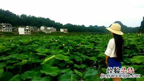普定有哪些景点