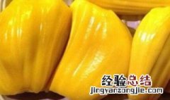 菠萝蜜核可以冰冻吗 菠萝蜜的核可以冷冻吗