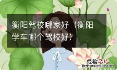 衡阳学车哪个驾校好 衡阳驾校哪家好