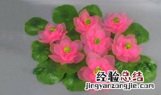 布花怎么清洗 清洗布花的方法