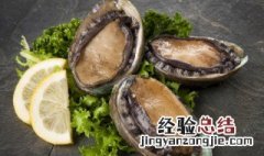 鲍鱼如何去腥味 鲍鱼怎么去腥味才好