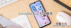 vivoy53s怎么关闭横屏