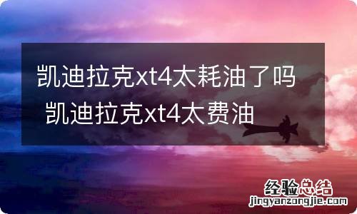 凯迪拉克xt4太耗油了吗 凯迪拉克xt4太费油