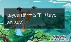 taycan suv taycan是什么车