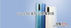 vivoy70t是什么屏幕材质