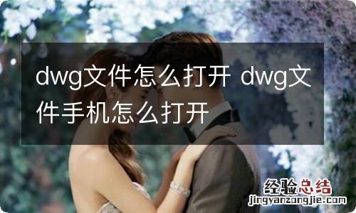 dwg文件怎么打开 dwg文件手机怎么打开