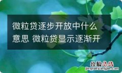 微粒贷逐步开放中什么意思 微粒贷显示逐渐开放中