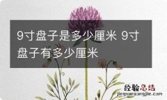 9寸盘子是多少厘米 9寸盘子有多少厘米