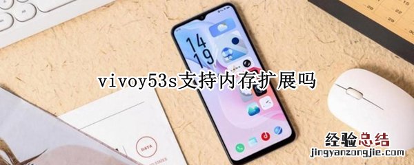 vivoy53s支持内存扩展吗