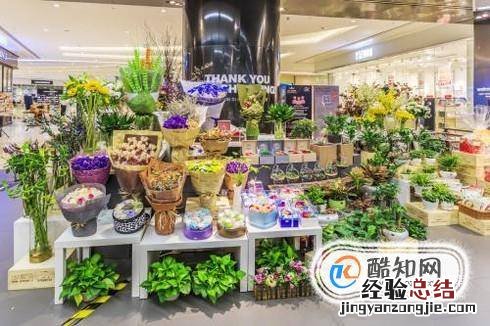 如何最快知道花代表的意思