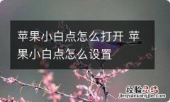 苹果小白点怎么打开 苹果小白点怎么设置