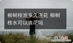 柳树枝泡多久浇花 柳树枝水可以浇花吗