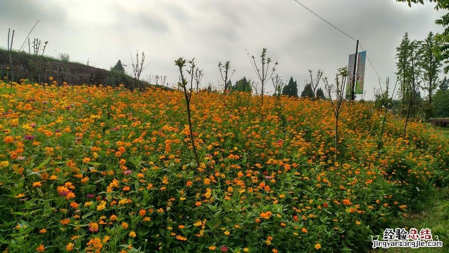 资阳有哪些旅游景点