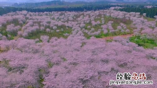 平坝有哪些旅游景点