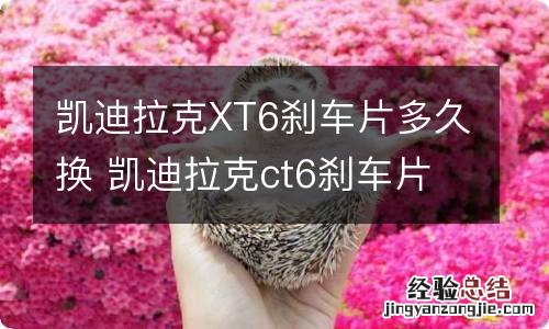 凯迪拉克XT6刹车片多久换 凯迪拉克ct6刹车片多久换一次