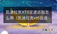 凯迪拉克xt6自适应巡航怎么用 凯迪拉克XT6定速巡航怎么用