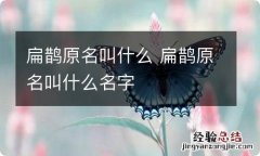 扁鹊原名叫什么 扁鹊原名叫什么名字