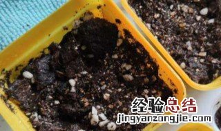 多菌灵什么时候用最好 多菌灵拌土后能马上种植物吗