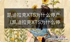 凯迪拉克XTS为什么停产 凯迪拉克XTS为什么停产