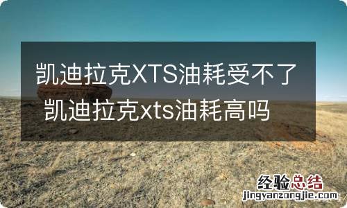 凯迪拉克XTS油耗受不了 凯迪拉克xts油耗高吗