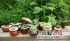 瓷花盆怎么养植物 瓷花盆养植物怎么样啊?