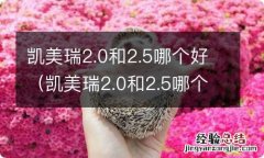 凯美瑞2.0和2.5哪个性价比高 凯美瑞2.0和2.5哪个好