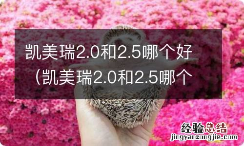 凯美瑞2.0和2.5哪个性价比高 凯美瑞2.0和2.5哪个好