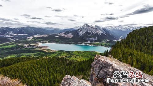 landscape是什么意思