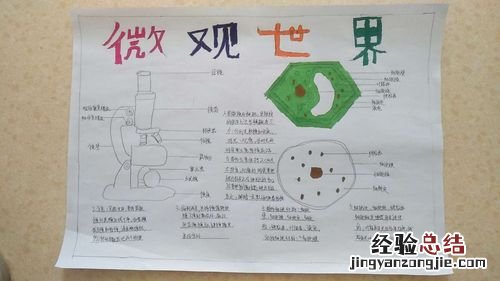 原核细胞细胞壁成分是什么和什么