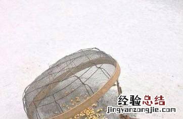 最有效的捕捉麻雀方法