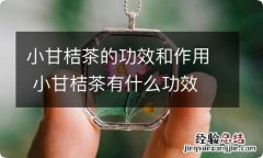 小甘桔茶的功效和作用 小甘桔茶有什么功效