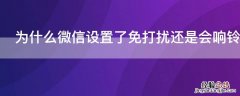 微信设置了消息免打扰打电话会响吗 为什么微信设置了免打扰还是会响铃