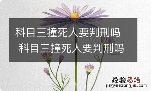 科目三撞死人要判刑吗 科目三撞死人要判刑吗?想要了解以下的,建议看看