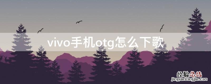 vivo手机otg怎么下歌 vivo手机怎么把歌曲下载到u盘