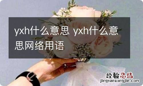 yxh什么意思 yxh什么意思网络用语