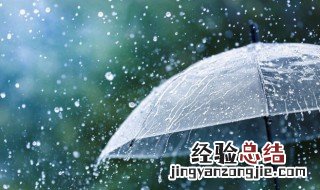 雨伞伞面脏了怎么清洗 雨伞伞面脏了如何清洗