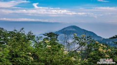 峨眉山市有哪些景点