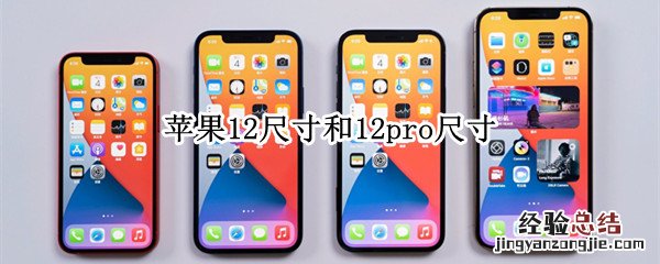 苹果12尺寸和12pro尺寸