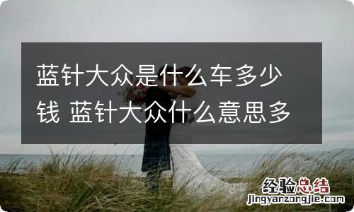 蓝针大众是什么车多少钱 蓝针大众什么意思多少钱