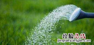 刺梅的养殖方法和注意事项