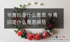 爷青回是什么意思 爷青回是什么意思网络