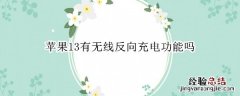 苹果13pro有无线反向充电功能吗 苹果13有无线反向充电功能吗